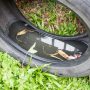 Which Household Pests Are Dangerous to Your Pets?