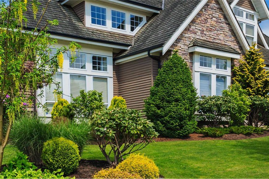 How To Stop Roof Rats From Attacking Your Fruit Trees