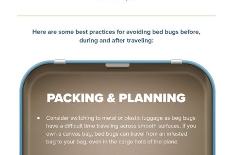 Infographic: Bed Bug Prevention During Holiday Travel