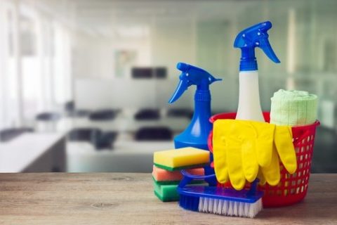 SPRING CLEANING: PEST CONTROL TIPS FOR YOUR BUSINESS